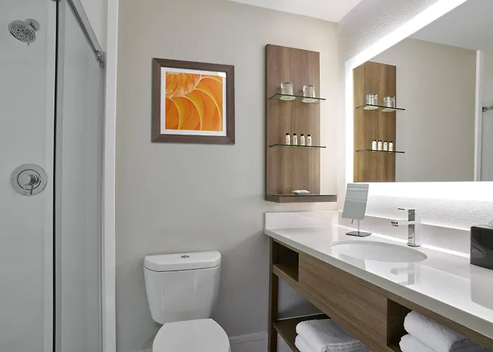 Hotel Delta By Marriott Chicago 4*